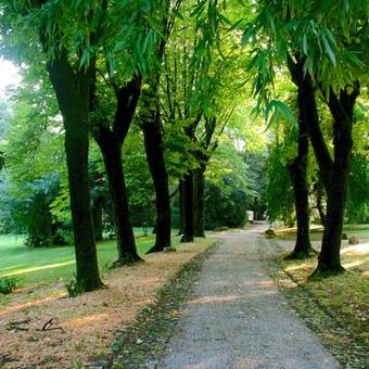 Apartamento Barchessa Di Vigna Contarena