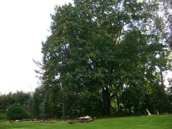 Villa Dw�r Wapowce