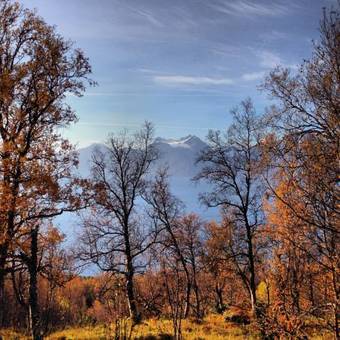 Havnnes Handelssted Holiday Homes