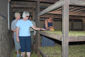 Hotel Thekkady Carmelia Haven Resort