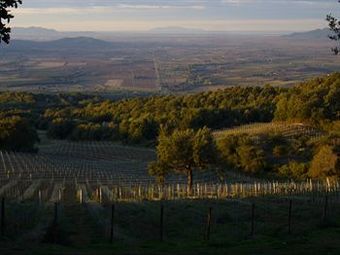 Hostal Valdonica Winery & Vineyard Residence