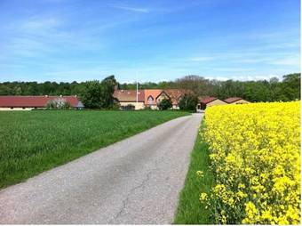 Hesselgaard Apartment