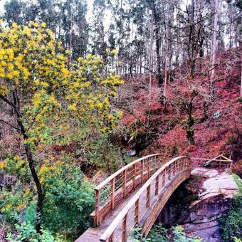 Agroturismo Finca El Remanso