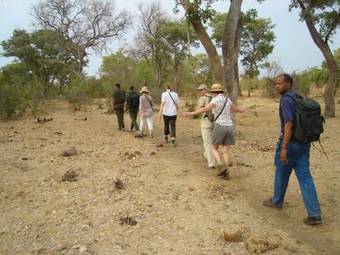 Bothabelo Bed And Breakfast