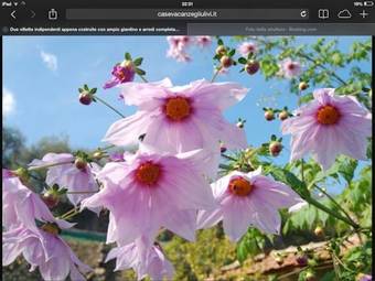 Hostal Casa Vacanze Gli Ulivi
