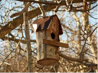 Hostal Petrini Gonia