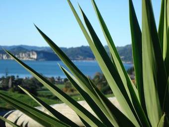 Bed & Breakfast Ohuka Place Homestay