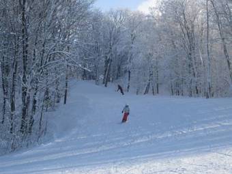 Hotel H�tel Mont-blanc