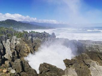 Lodge Te Nikau Retreat
