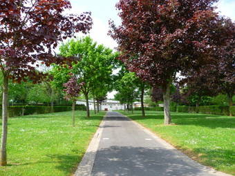 Camping De Ch�lons-en-champagne