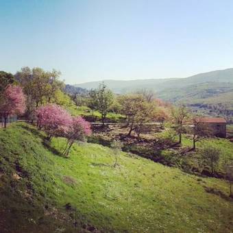 Agroturismo Agriturismo San Ottaviano
