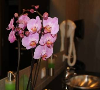 Bed & Breakfast Gloria