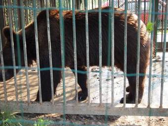 Hotel Recreation Center Shepilska