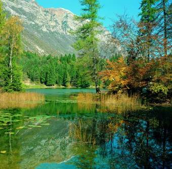 Agroturismo B&B La Betulla