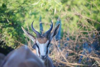 Lodge Zwartberg View Mountain Retreat