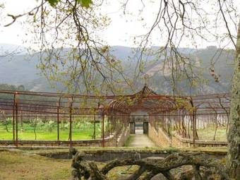 Agroturismo Vila Guiomar - Casa Da Eira