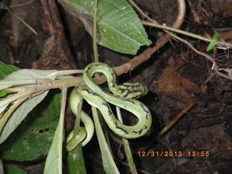 Deniyaya National Motel Sinharaja