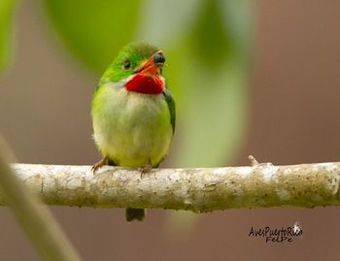 Hotel Star Light Chalet And Health Spa