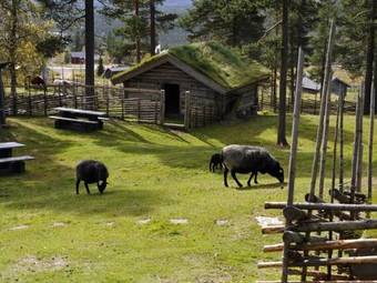 Pernilla Wiberg Hotel
