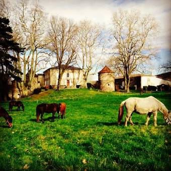 Bed & Breakfast Domaine La Bonne Etoile
