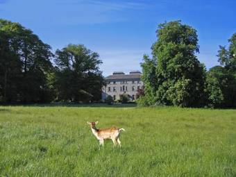 Hostal Coopershill House