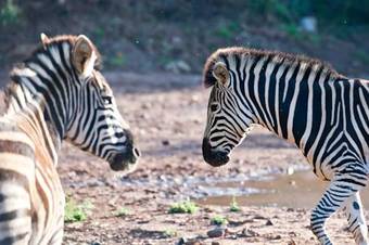 Agroturismo Orange Grove Farm
