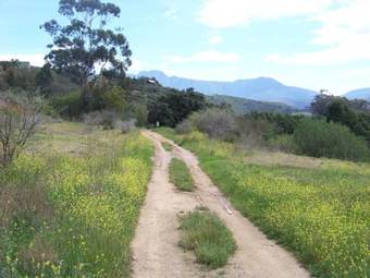 Agroturismo Lemontree Cottage