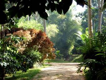 Hotel Soba Lanka Holiday Resort