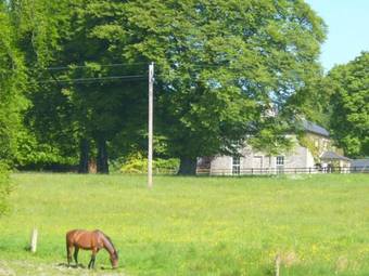 Agroturismo The Old Rectory Country House