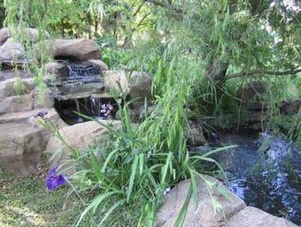 Winterton Country Lodge @ Rose Cottage