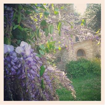 Agroturismo Il Molendino Pisa B&B