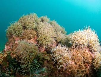 Agroturismo Monte Da Casa Branca