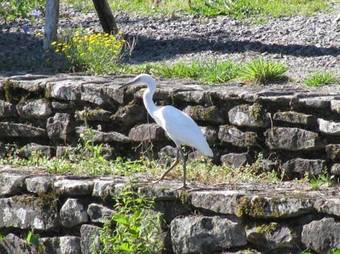 Agroturismo River Cottage