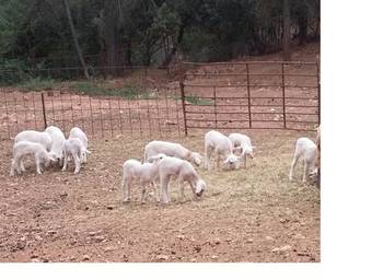 Casa Rural Los Nogales