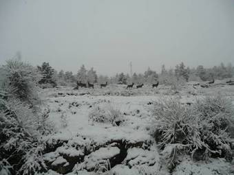 Casa Vacanza Abruzzo 06804dueaffzerozerozerodue