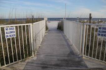 Apartamento Sugar Beach 232 By Sugar Sands Realty And Management