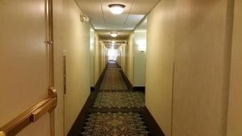 Hotel Staybridge Suites Chicago-oakbrook Terrace