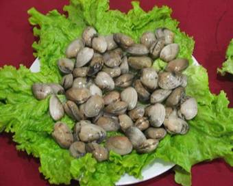 Hotel Restaurante Los Tulipanes