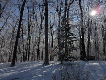Hidden Serenity Bed And Breakfast