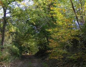 Agroturismo La Nogala