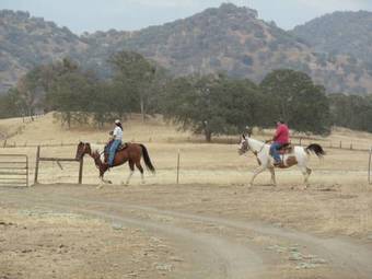 The Branded Calf Bed & Breakfast