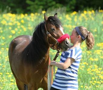 Agroturismo Brol�ten Konferens