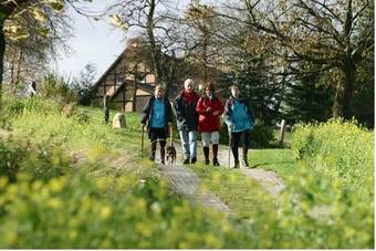 Landhotel Buller