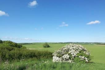Hostal Hotel Strandhaus M�nchgut