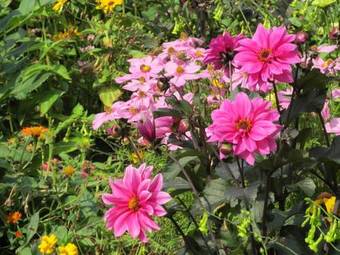 Agroturismo Charming Farmhouse In Hohnebostel With Courtyard