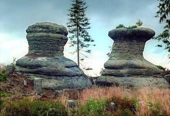 Holiday Home Pekov 2