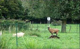 Bed & Breakfast Chambres D'h�tes La Ferme Du Scardon