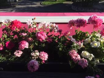 Hotel Logis H�tel-restaurant D'argonay