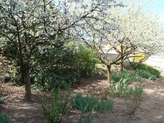 Bed & Breakfast Chambre D'h�tes Des Lys