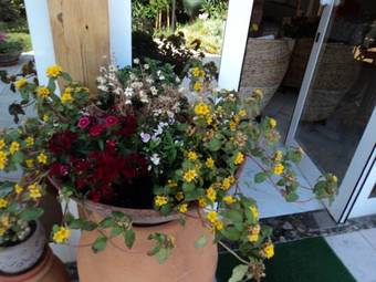 Bed & Breakfast Hotel Vila Bahia